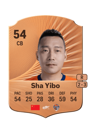 Sha Yibo - 54 - Rare