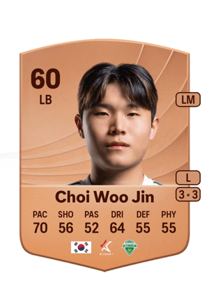 Choi Woo Jin - 60 - Common