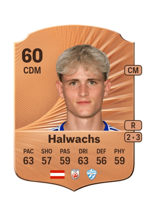 Halwachs - 60 - Rare