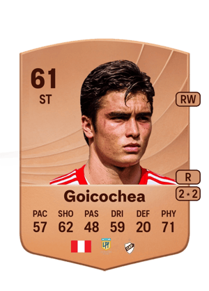 Goicochea - 61 - Common