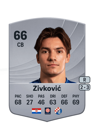 Živković - 66 - Common