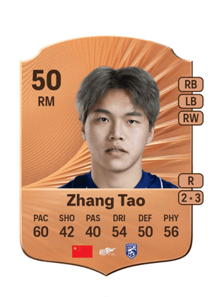 Zhang Tao - 50 - Rare