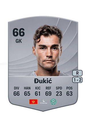 Đukić - 66 - Common