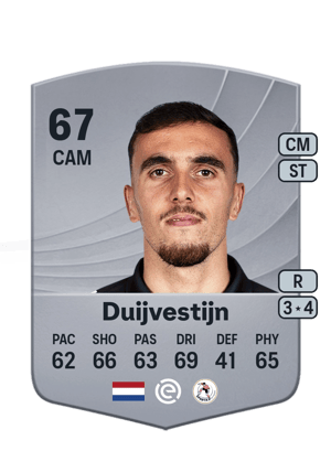 Duijvestijn - 67 - Common