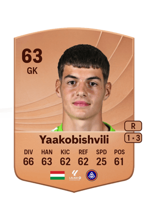 Yaakobishvili - 63 - Common