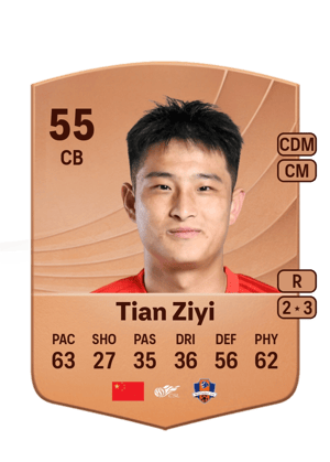 Tian Ziyi - 55 - Common