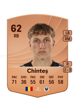 Chinteș - 62 - Common