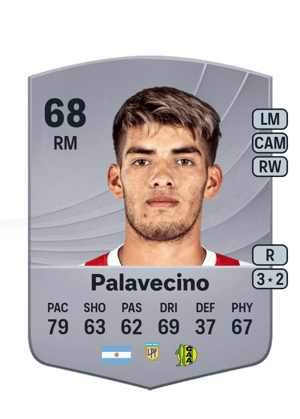 Palavecino - 68 - Common