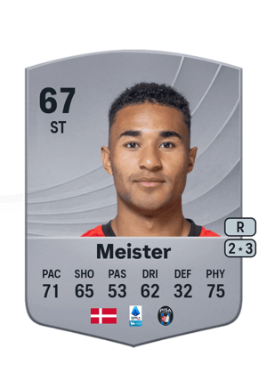 Meister - 67 - Common