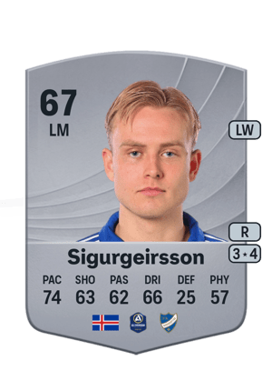Sigurgeirsson - 67 - Common