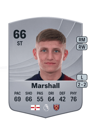 Marshall - 66 - Common