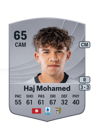 Haj Mohamed - 65 - Common