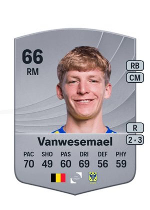 Vanwesemael - 66 - Common