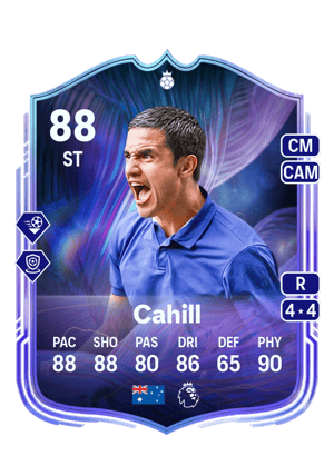 Tim Cahill