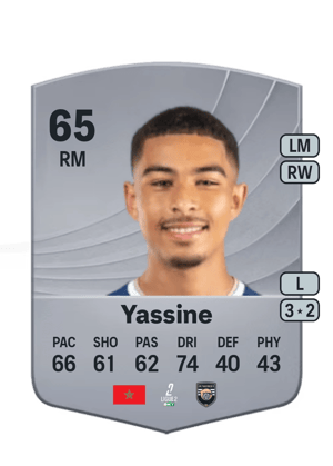 Yassine - 65 - Common