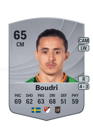 Boudri - 65 - Common