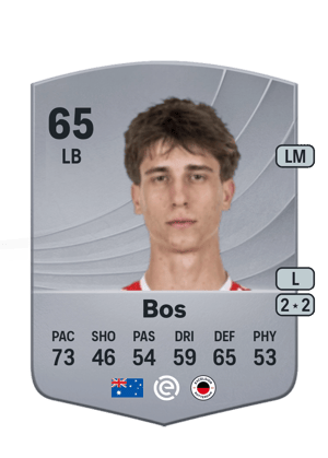 Bos - 65 - Common