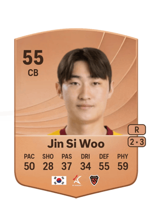 Jin Si Woo