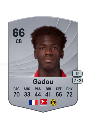Gadou - 66 - Common