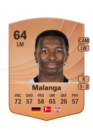 Malanga - 64 - Common