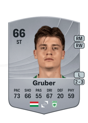 Gruber - 66 - Common