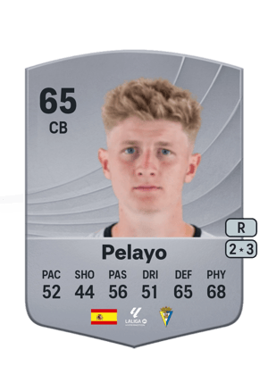 Pelayo - 65 - Common