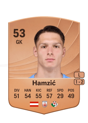 Hamzić - 53 - Common
