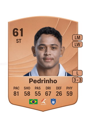 Pedrinho