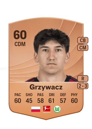 Grzywacz - 60 - Common