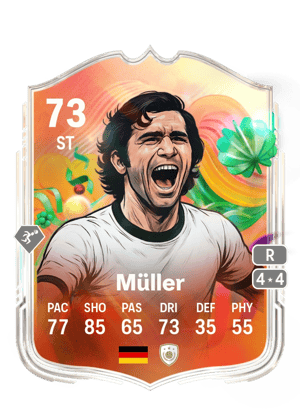 Müller - 73 - World Tour Silver Stars