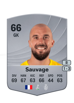 Sauvage - 66 - Common