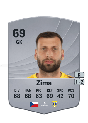 Zima - 69 - Common