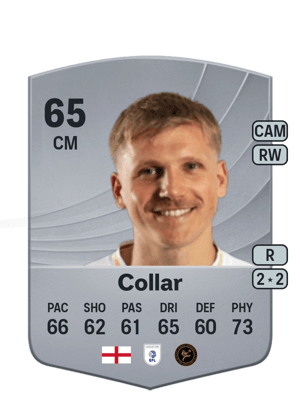 Collar - 65 - Common