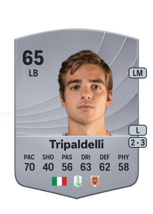 Tripaldelli - 65 - Common