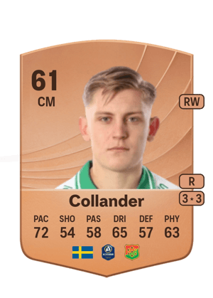 Collander - 61 - Common