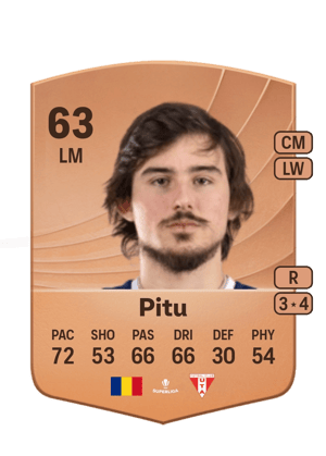 Pitu - 63 - Common