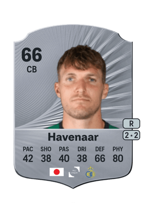 Havenaar - 66 - Rare