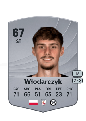 Włodarczyk - 67 - Common