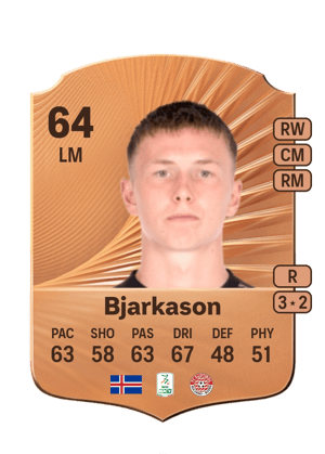 Bjarkason - 64 - Rare