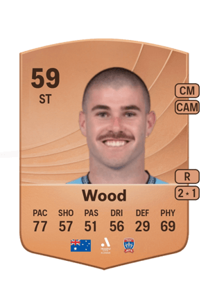 Wood - 59 - Common