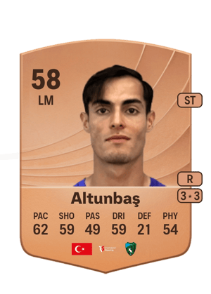 Altunbaş - 58 - Common