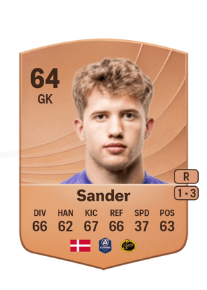 Sander - 64 - Common