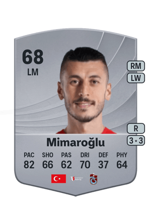 Mimaroğlu - 68 - Common