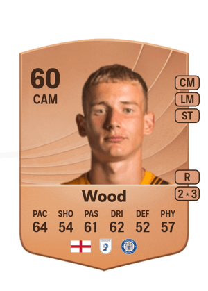 Wood - 60 - Common