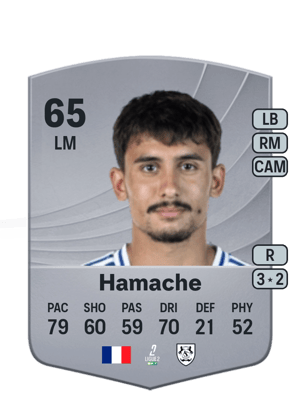 Hamache - 65 - Common