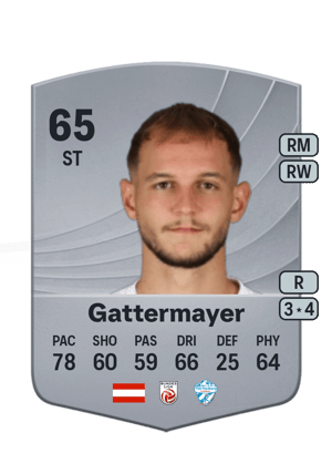 Gattermayer - 65 - Common