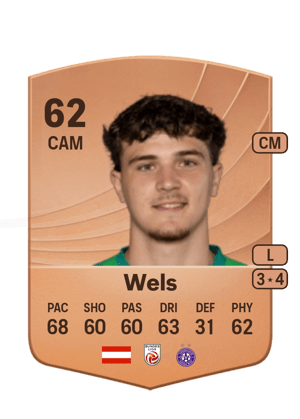 Wels - 62 - Common