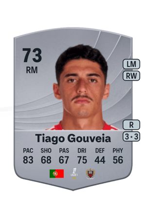 Tiago Gouveia - 73 - Common