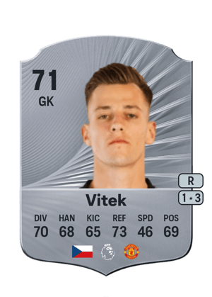Vitek - 71 - Rare