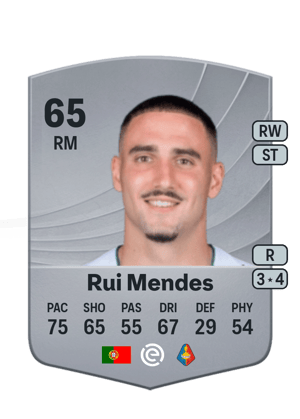 Rui Mendes - 65 - Common
